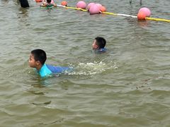 -碧海金沙