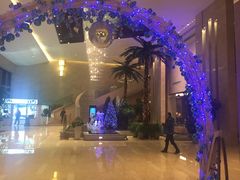 -常州环球恐龙城维景国际大酒店