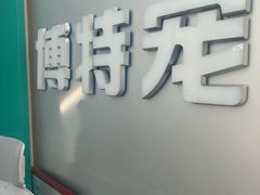 -博特宠物医院24h犬猫全科.骨科·异宠