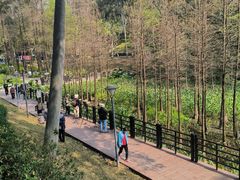 -畔山酒店中餐厅