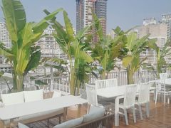 -天空花园餐吧·生日·团建(南山店)