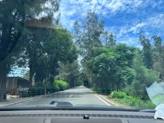 -长江澳风力发电景观区