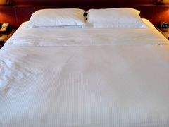 -广州天河希尔顿酒店