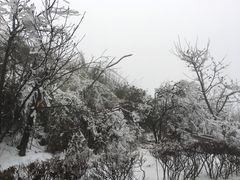 -江南天池