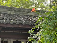-成都杜甫草堂博物馆