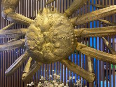 -蟹将军·松叶蟹和牛日料放题自助(K11店)