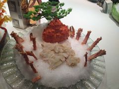 -周肥肠(江油总店)