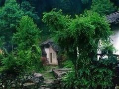 -万达广场(泰安泰山店)