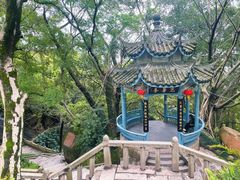 -乌山风景区