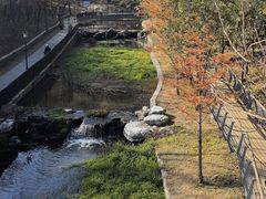 -白水寺森林公园