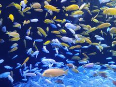 -成都浩海立方海洋公园