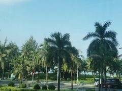 -同禧荟·港味海鲜火锅·粤菜(三亚湾店)