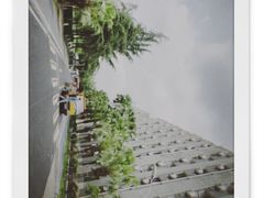 -四川大学(望江校区)