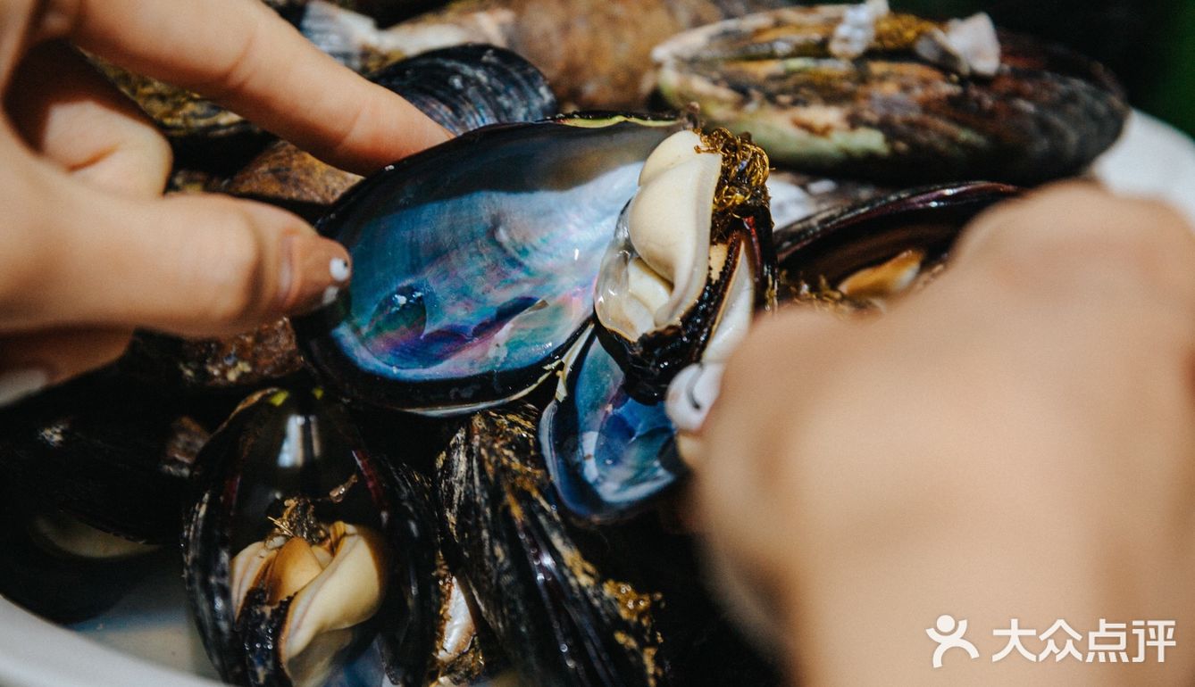 上海这家馆子人均40💰实现海鲜自由‼️撑到扶墙