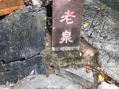 -九龙潭景区