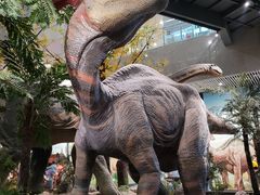 -湖南省地质博物馆