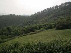 -敬亭山风景名胜区