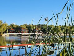 -长春市南湖公园