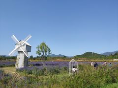 -北京东方普罗旺斯薰衣草庄园