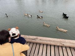 -天津东丽湖风景区