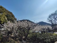 -白马涧龙池景区