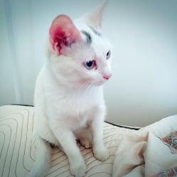 -尚美日式美甲美睫工作室