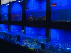 -徐记海鲜(大雁塔|金都店)