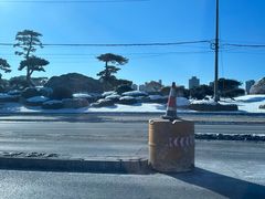 -南门四季铜锅涮肉(大屯·北苑店)