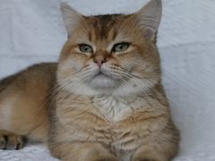 -范儿·嫂子烤肉·精致炭火烤肉(长治路店)