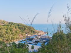 -广东惠东海龟国家级自然保护区