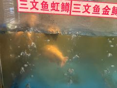 -二厨·吊桥小院·脆皮烧鸡公·本地农家菜(沿江西路店)