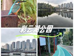 -重庆彩云湖湿地公园