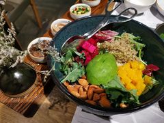 芥子酱羽翼甘蓝沙拉-小大董·烤鸭(凤凰汇店)