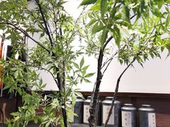 -阿嬷手作(南宁百盛印象城店)