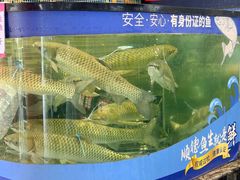 -寻味顺德·珍之宝酒楼(银钻店)