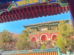 -颐和园