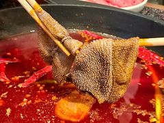 -宽巷子成都火锅(南站店)
