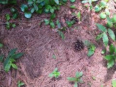 -客乐得玉峰山房车营地