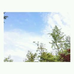 点击看大图 -唯一视觉婚纱摄影(李家村店)