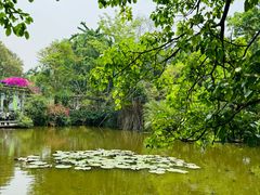 -中国科学院西双版纳热带植物园