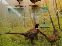 -下渚湖国家湿地公园科普馆