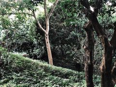 -燕晗山郊野公园