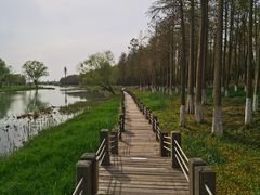 -苏州太湖湖滨国家湿地公园