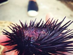 -龟龄岛