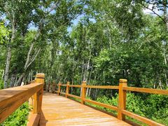 -塞罕坝国家级自然保护区