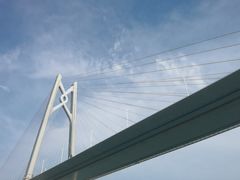 -招商蛇口邮轮母港(观光客运)