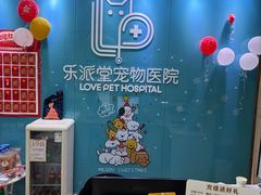 -乐派堂宠物医院·猫友好· 心脏科(东街店)