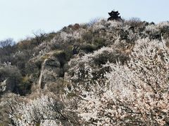 -北京鹫峰国家森林公园