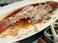 -大连湾旭日·家宴·海肠捞饭(马栏广场店)