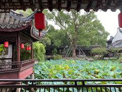 -上海醉白池公园